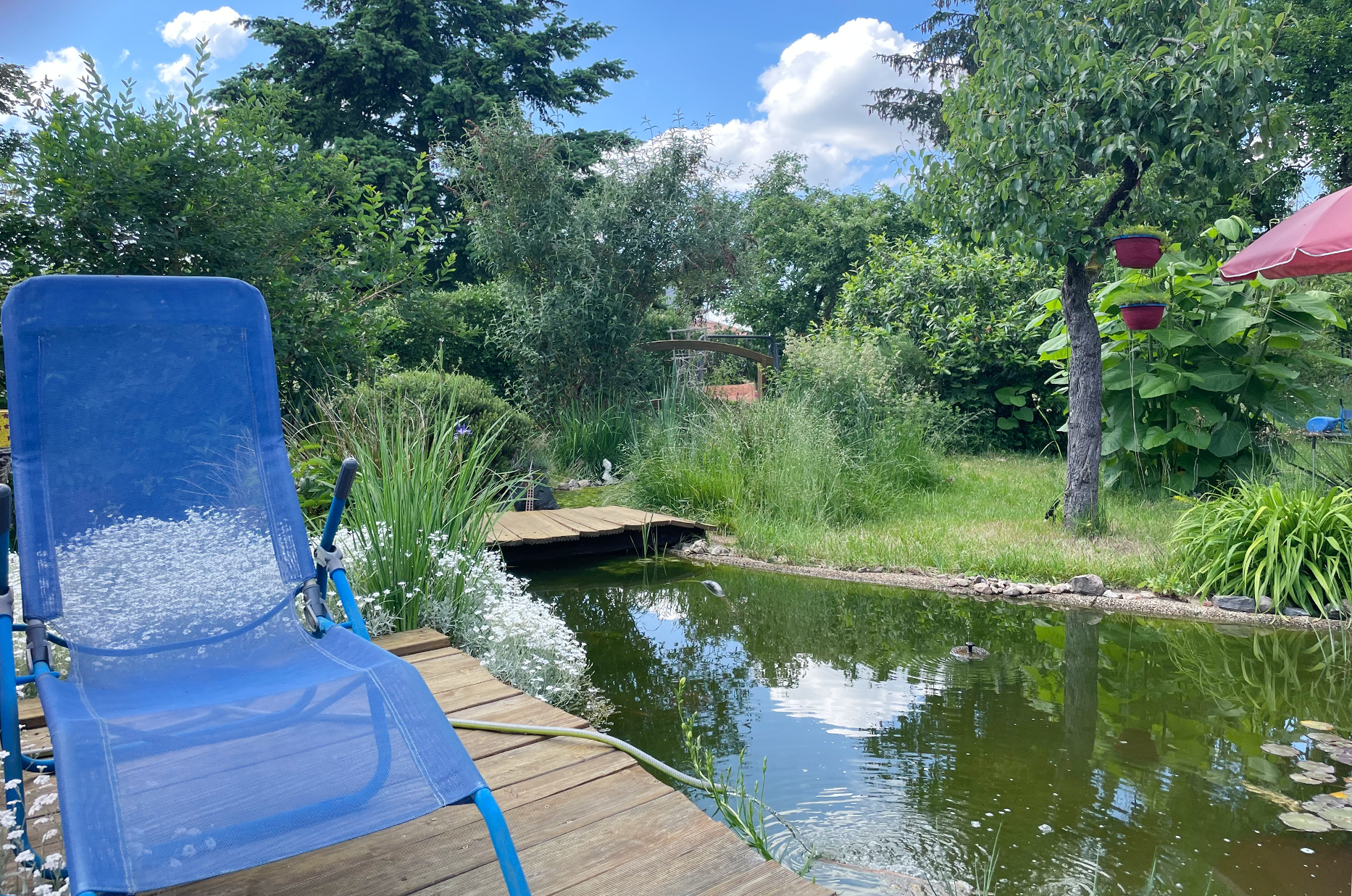 Teich