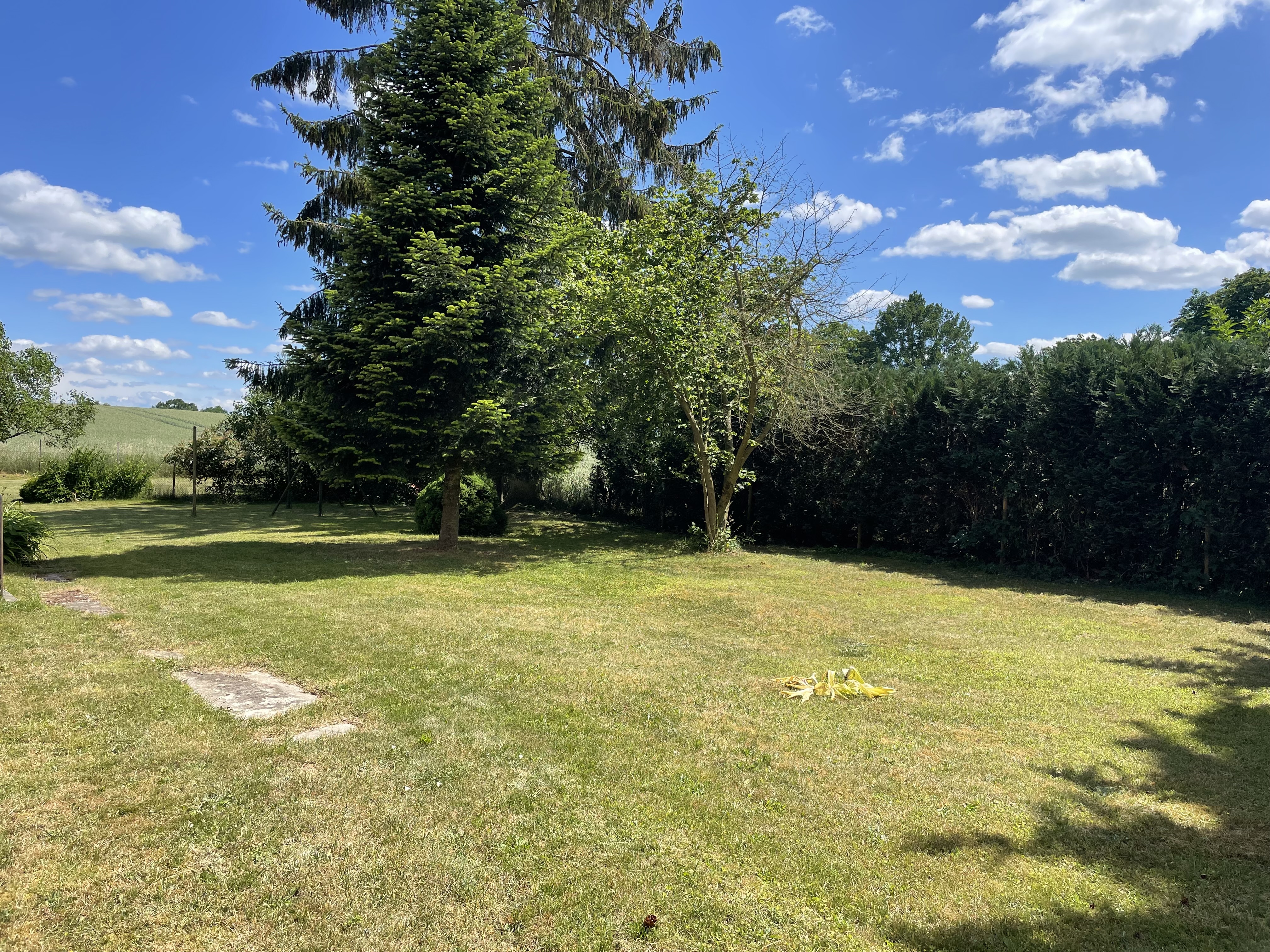 Außenanlagen